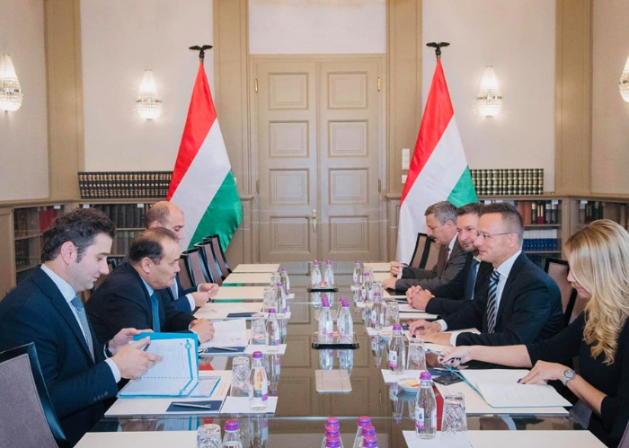 Secretary General Baghdad Amreyev visited Budapest