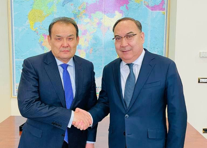 Secretary General met with Deputy Chief of the Presidential Administration of Kazakhstan in Nur-Sultan