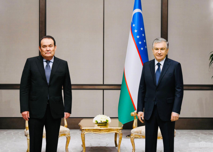 President of the Republic of Uzbekistan received Secretary General of Turkic Council in Istanbul  