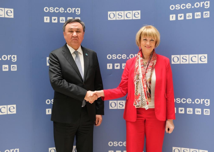 OTS Secretary General met with the Secretary General of the Organization for Security and Cooperation in Europe