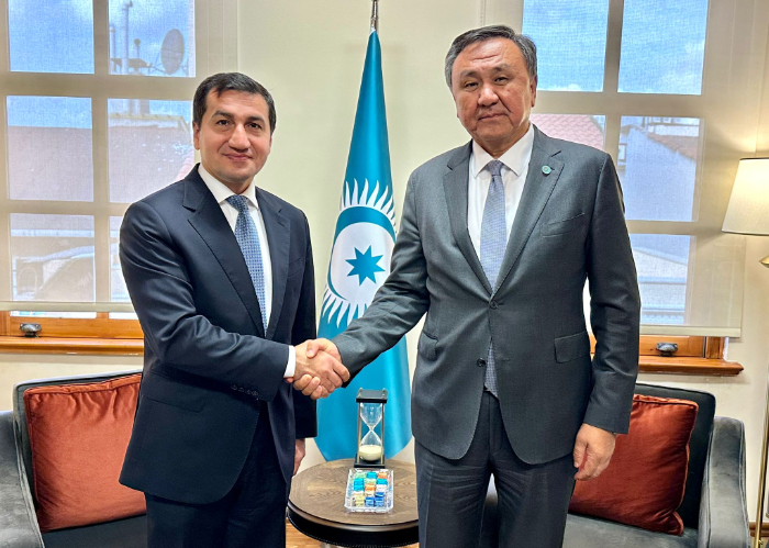 OTS Secretary General Met with the Assistant of the  President of Azerbaijan