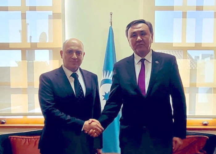 The OTS Secretary General met with the Deputy Minister of Foreign Affairs of Azerbaijan