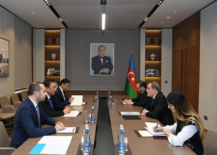 OTS Secretary General met the Foreign Minister of Azerbaijan