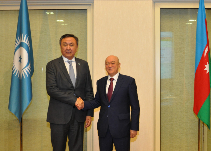 Secretary General of the OTS met with the Minister of Emergency of Azerbaijan