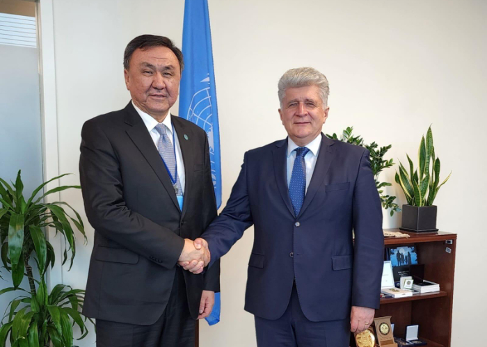 OTS Secretary General Met with UN Assistant Secretary-General for Europe, Central Asia, and the Americas