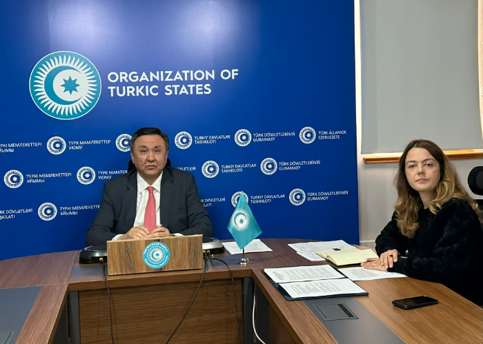 OTS Secretary General held online meeting with FAO Assistant Director General - Regional Representative for Europe and Central Asia