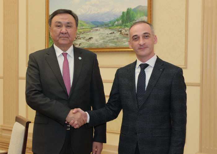 OTS Secretary General met Head of Customs Administration of Georgia