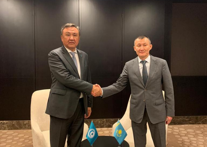 Secretary General of the OTS met with the Minister of Emergency of Kazakhstan