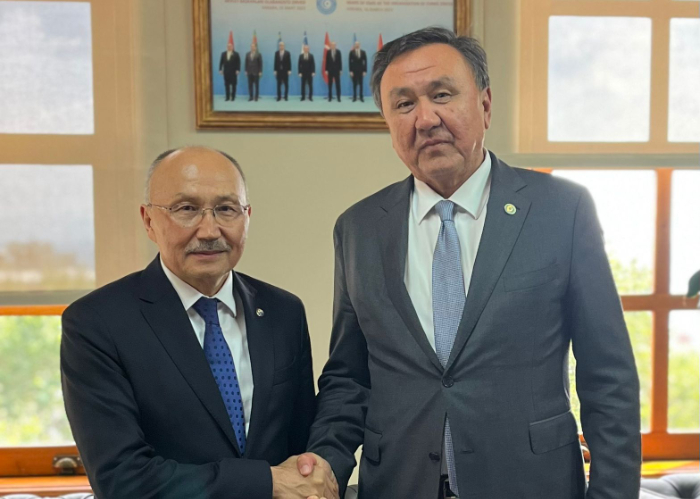 OTS Secretary General met with the Head of the Foreign Policy Department of the Presidential Administration of the Kyrgyz Republic.