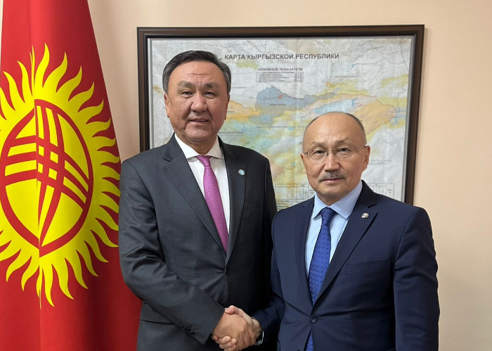 OTS Secretary General met with the Head of the Foreign Policy Department of the Presidential Administration of the Kyrgyz Republic