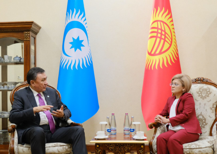 OTS Secretary General met with the Minister of Digital Development of the Kyrgyz Republic