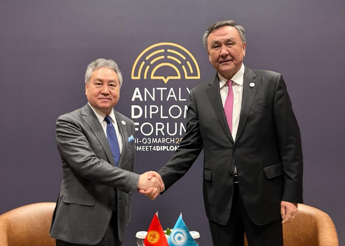 OTS Secretary General met with the Foreign Minister of the Kyrgyz Republic