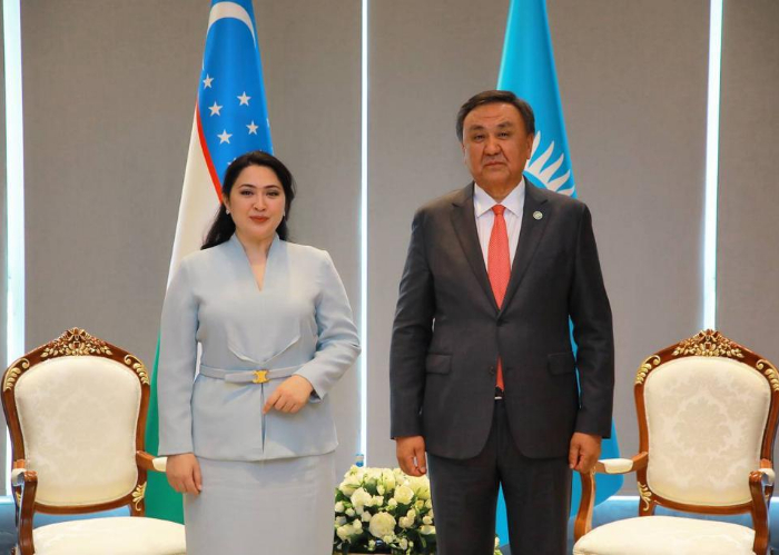 The OTS Secretary General met with the Minister of Preschool and School Education of the Republic of Uzbekistan 