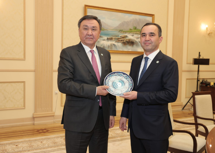 OTS Secretary General met with Chairman of Customs Committee of Uzbekistan