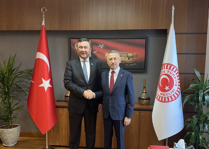 OTS Secretary General met Chairman of the Committee on Foreign Affairs of Turkish Grand National Assembly