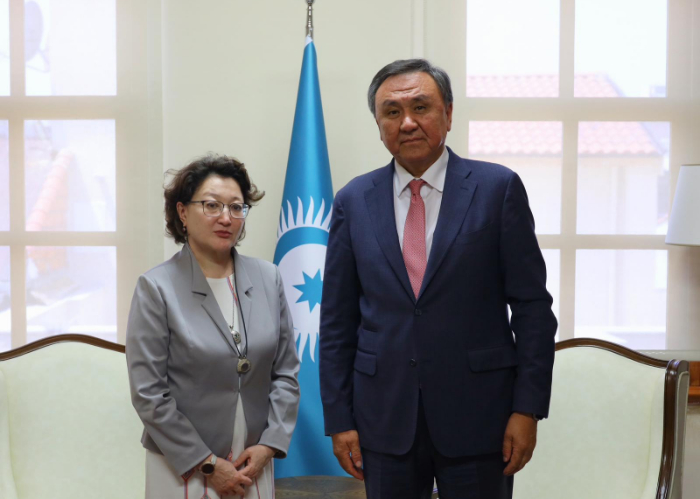 OTS Secretary General received the President of the Turkic Culture and Heritage Foundation