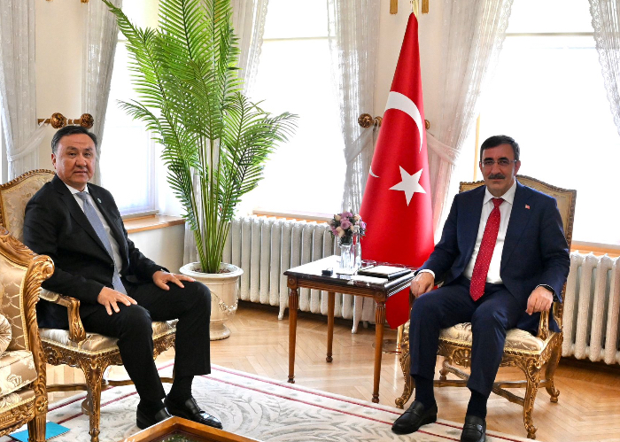 OTS Secretary General met with the Vice President of Türkiye