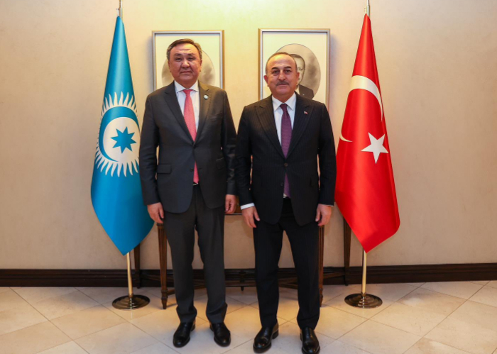 OTS Secretary General met with the Minister of Foreign Affairs of the Republic of Türkiye