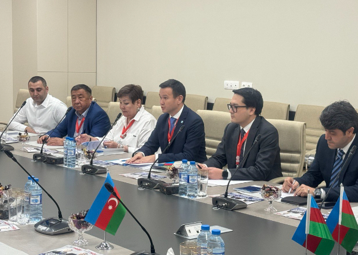 OTS International Election Observation Mission started monitoring the Early Presidential Elections to be held in Azerbaijan