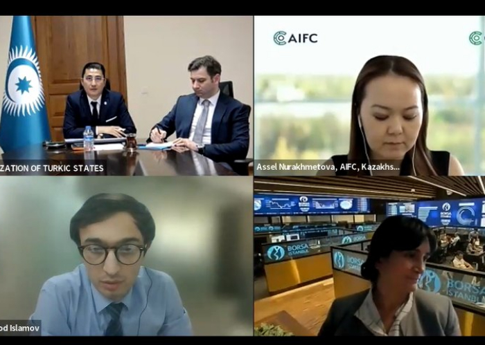 Representatives of the OTS Member and Observer States held the second round of online talks on the Turkic Green Finance Council