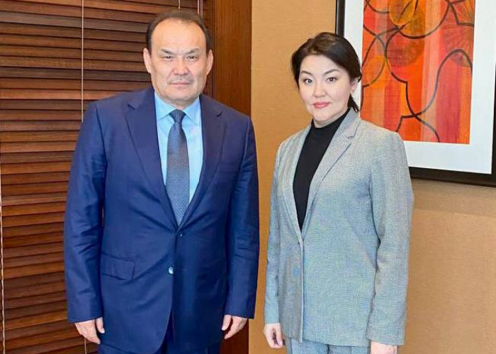 Secretary General of the Organization of Turkic States met the Healthcare Minister of Kazakhstan