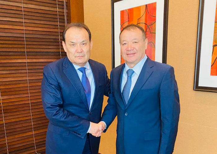 Secretary General of the Organization of Turkic States met Industry and Infrastructural Development Minister of Kazakhstan