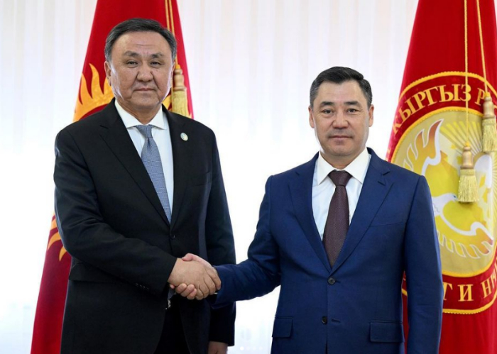 The Secretary General of the Organization of Turkic States was received by the President of the Kyrgyz Republic