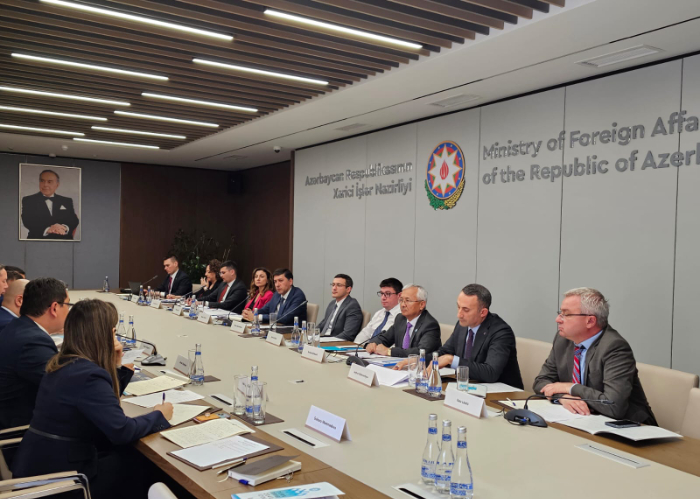 Second Policy Planning Consultations of the Organization of Turkic States held in Baku