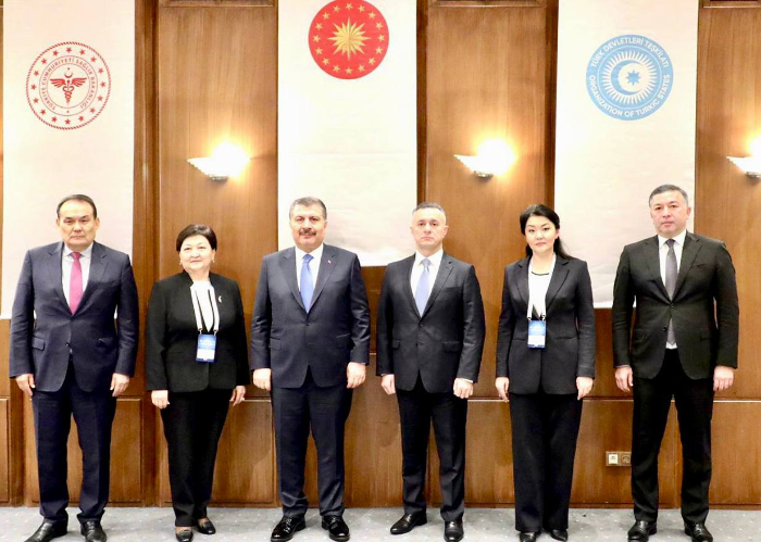 Meeting of the Ministers of Health of the Organization of Turkic States held in Istanbul