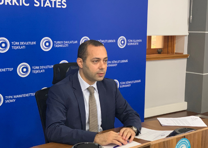 Organization of Turkic States convened an online meeting of the experts on the draft Agreement on the Establishment of the Civil Protection Mechanism