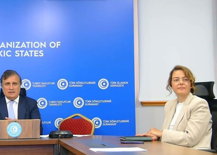 The second online meeting of the Organization of Turkic States (OTS) Trade Facilitation Committee convened