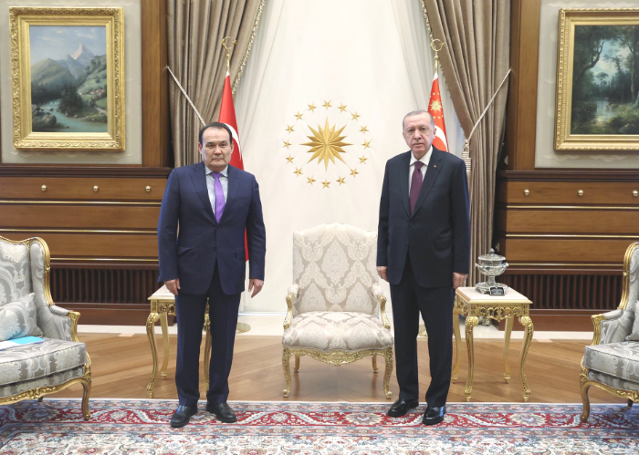 President of the Republic of Turkey received the Secretary General of the Turkic Council